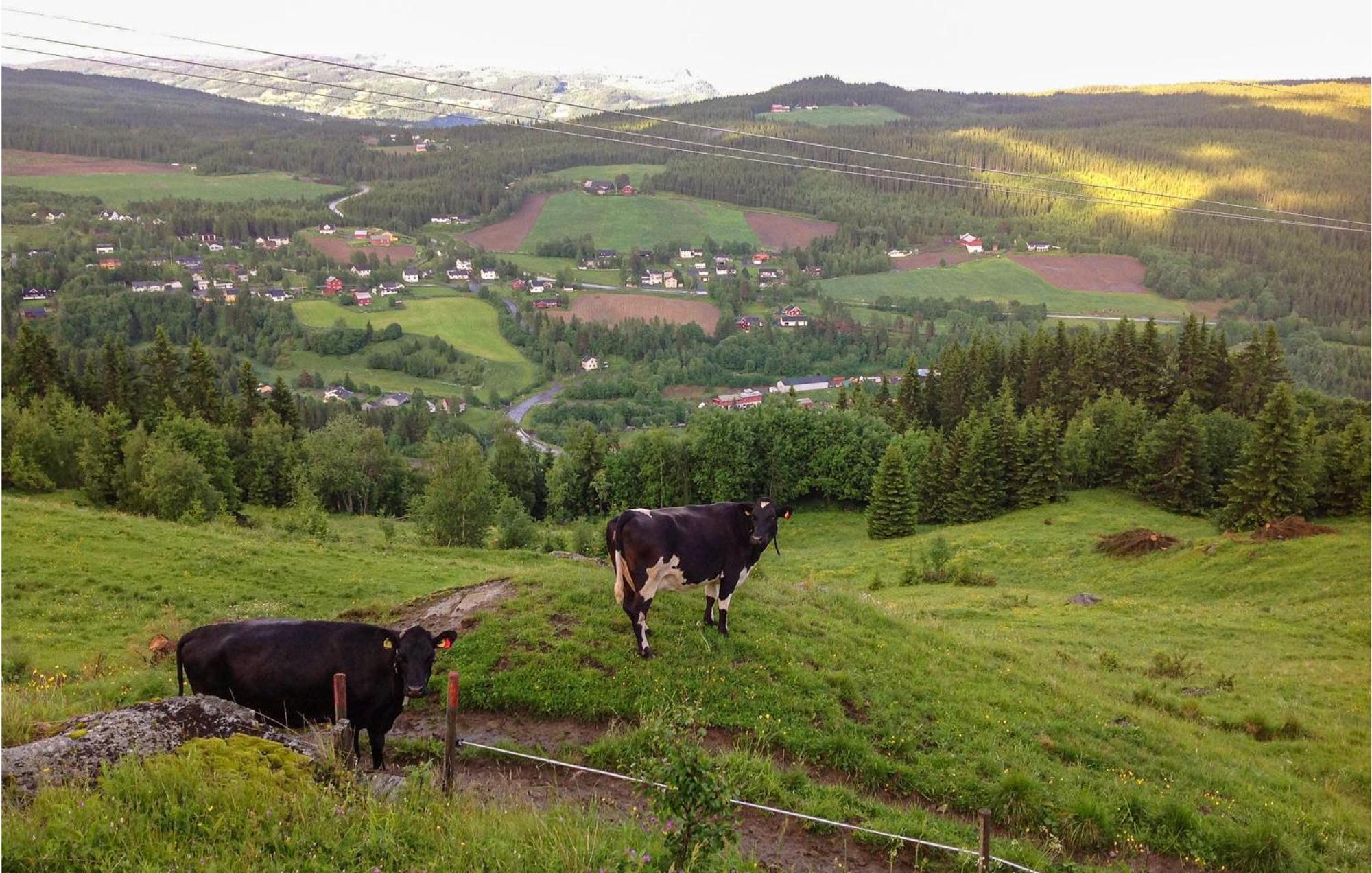 Gorgeous In With Wifi * Svingvoll
